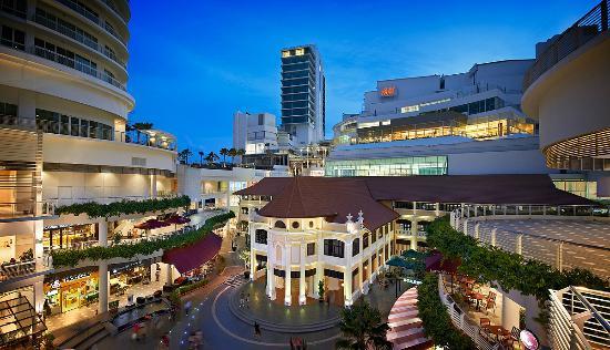 Gurney Paragon